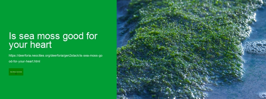 sea moss gel vs gummies